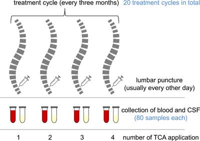 Reduced Fragmentation of IGFBP-2 and IGFBP-3 as a Potential Mechanism for Decreased Ratio of IGF-II to IGFBPs in Cerebrospinal Fluid in Response to Repeated Intrathecal Administration of Triamcinolone Acetonide in Patients With Multiple Sclerosis